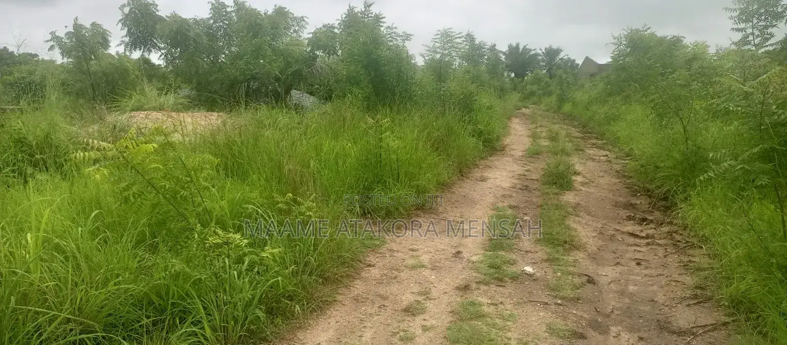 Well Serviced Land for Sale at Winneba