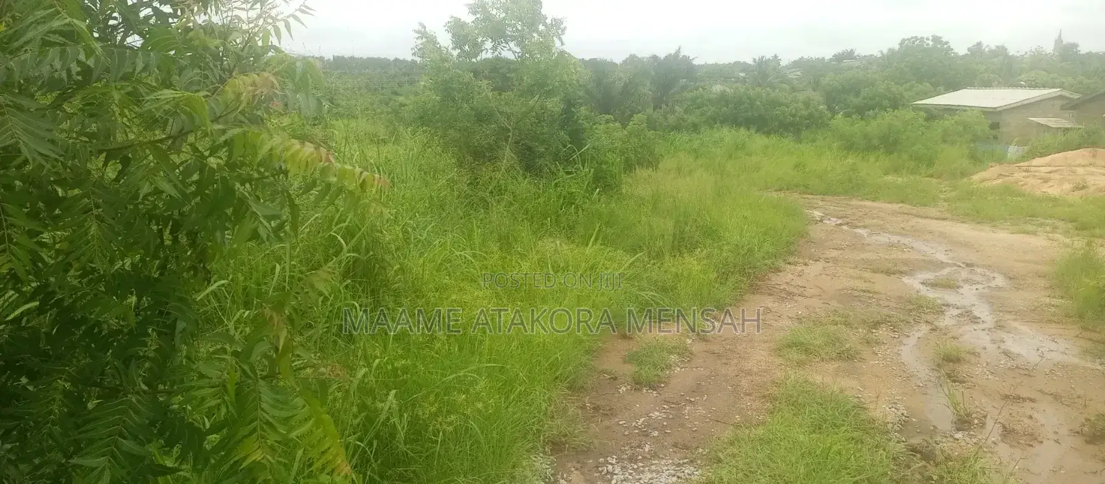 Well Serviced Land for Sale at Winneba
