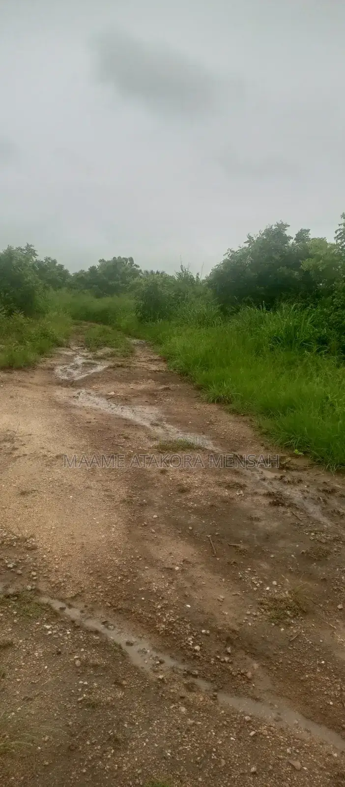 Well Serviced Land for Sale at Winneba