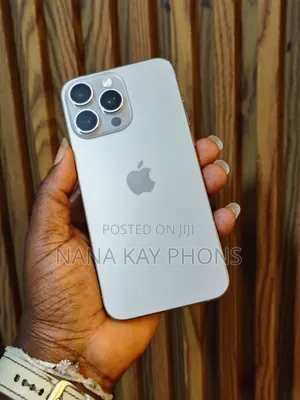 Apple iPhone 15 Pro Max 256 GB Silver