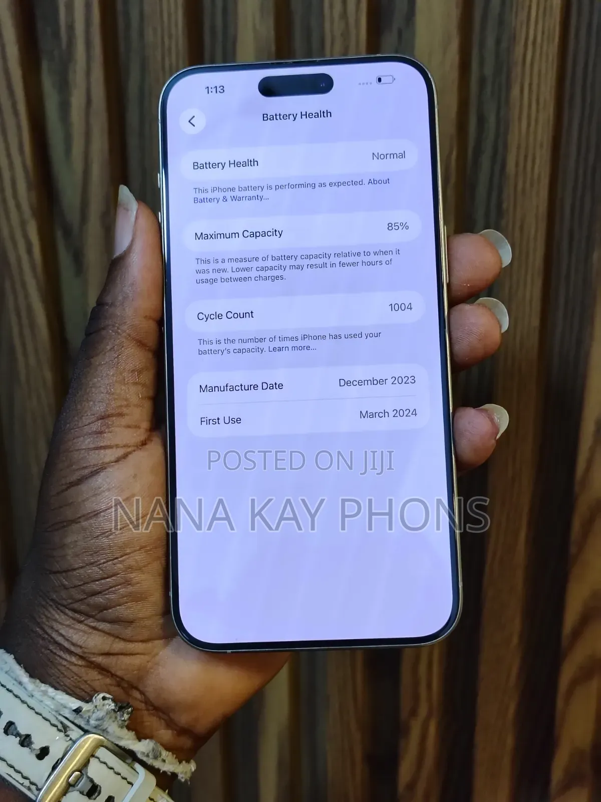 Apple iPhone 15 Pro Max 256 GB Silver