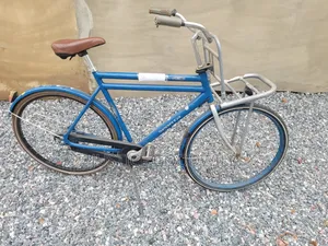 Cortina Pick Up Bike