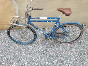 Cortina Pick Up Bike