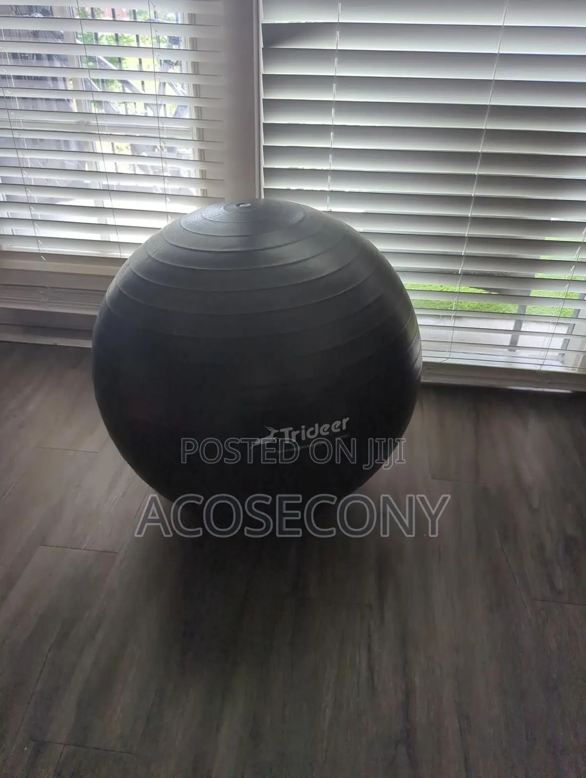 Exercise Ball