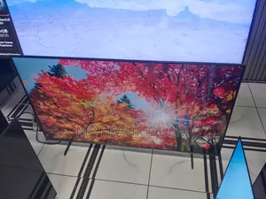 Samsung Qled 55inches
