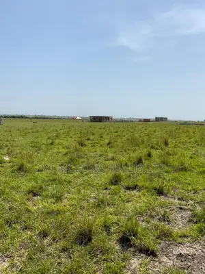 70 X 100 Ft Fast-Appreciating Land