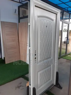 Panel Door