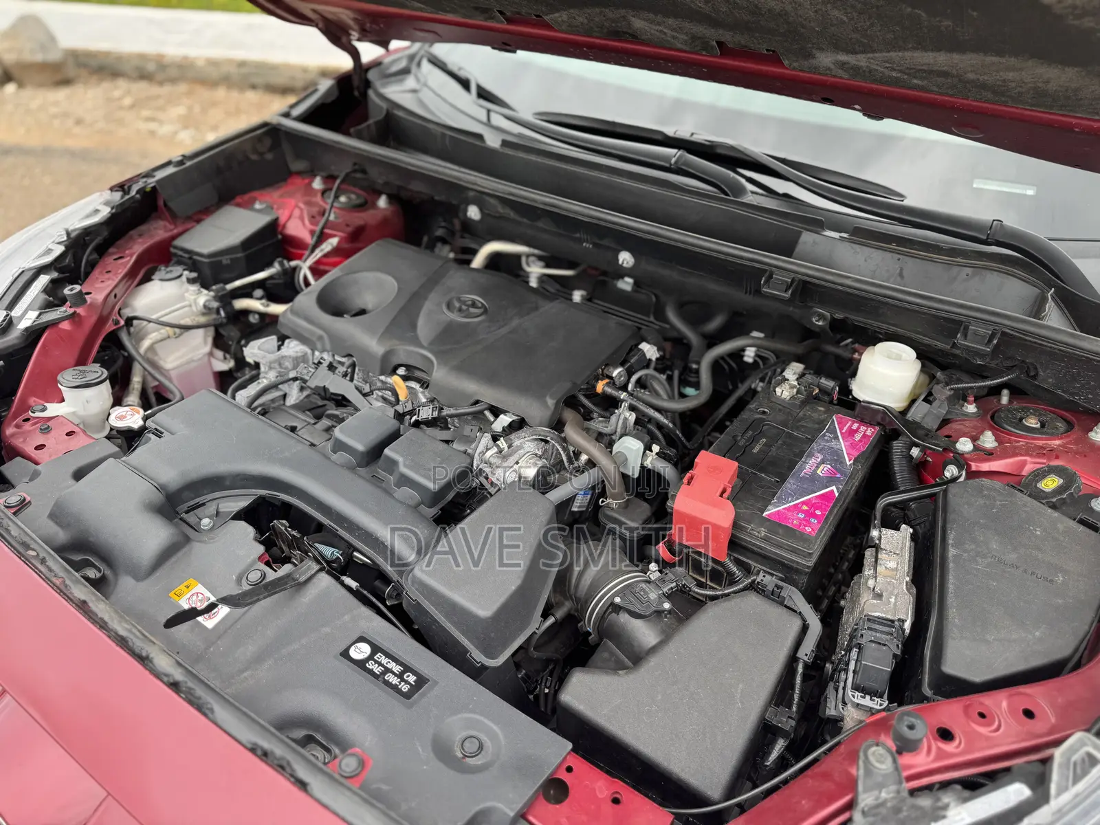 Toyota RAV4 XLE AWD 2024 Red