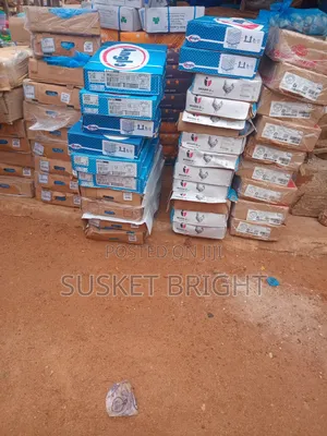 Bulk Frozen Food Supply – Wholesale Cold Store in Sunyani .