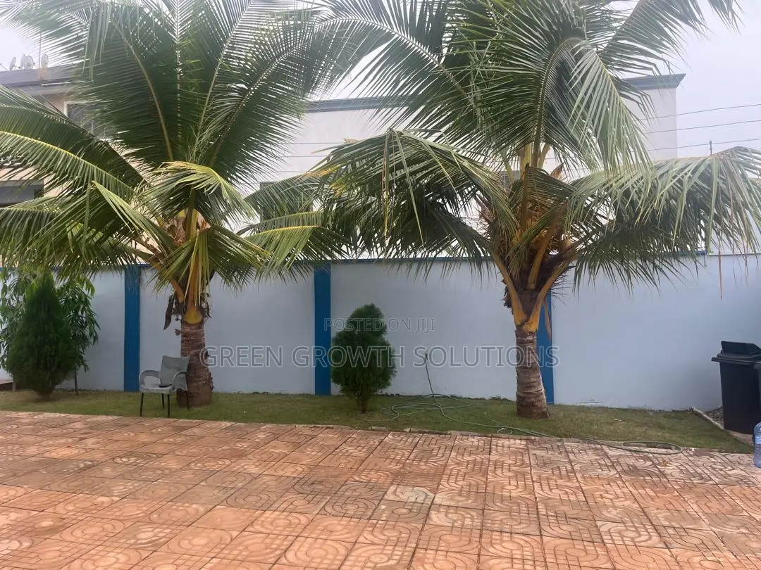 Furnished 5bdrm House in Owusu Ansah for sale