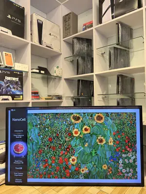 2024 Lg Nanocell 65 Inches