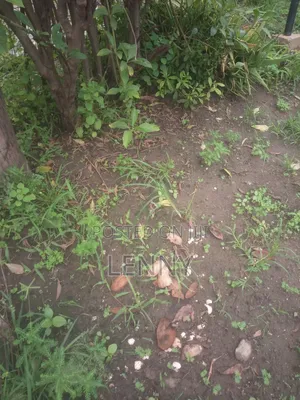 Registered Freehold 2 Plots