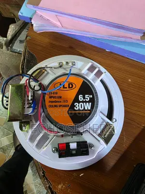JLD 6.5 Inches Ceiling SPK