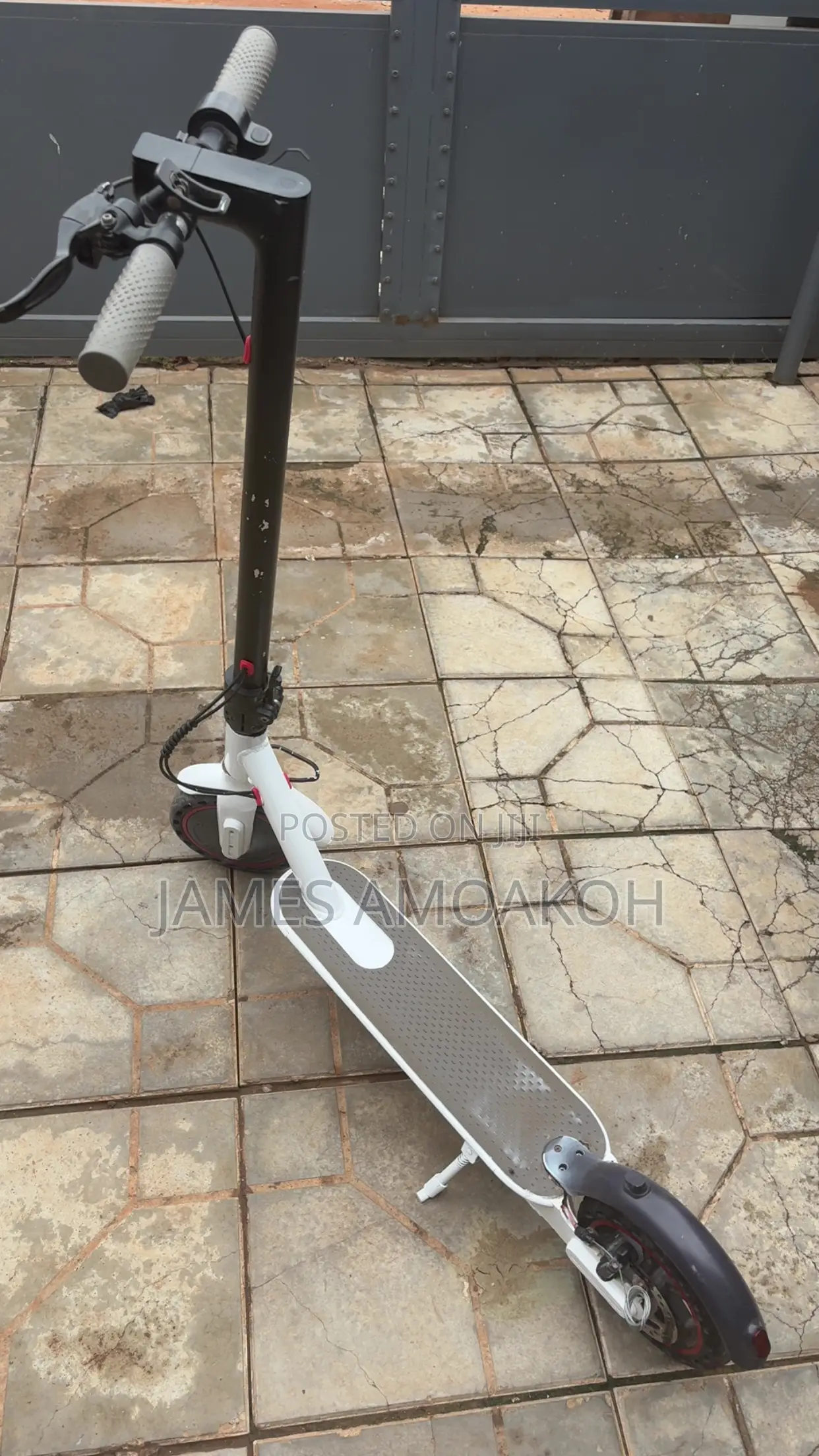 Electric Scooter