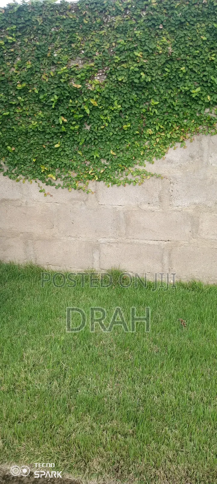 Wall Climber