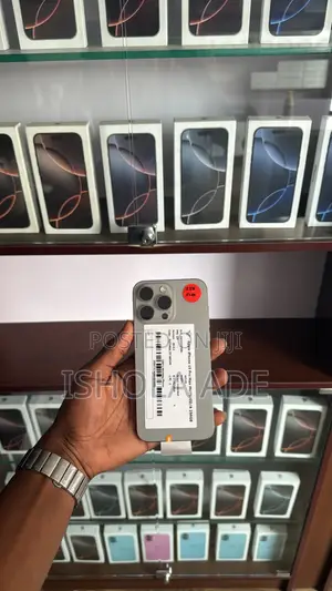 Apple iPhone 15 Pro Max 256 GB Silver