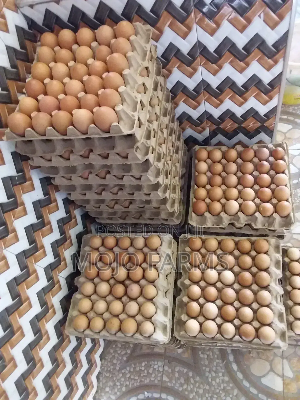 Large Eggs