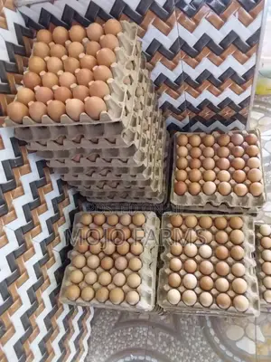 Large Eggs