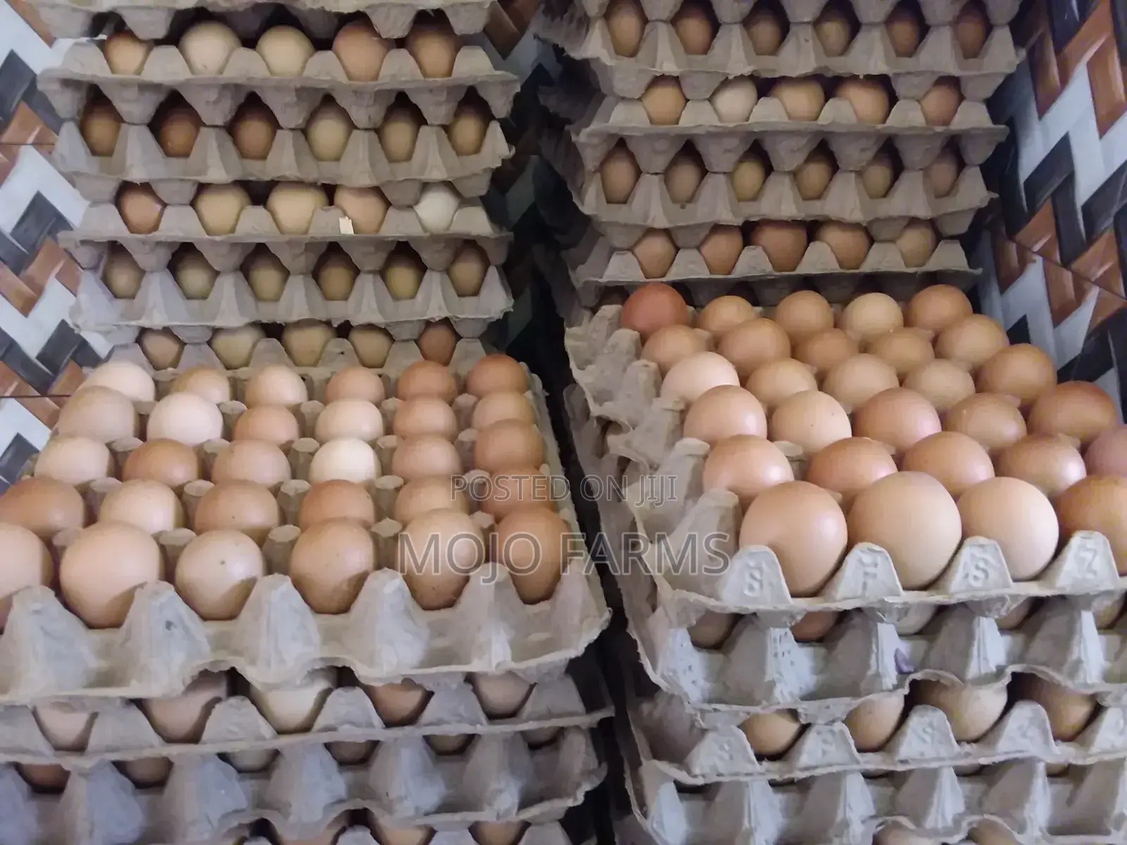 Large Eggs