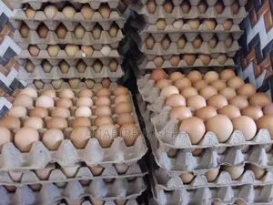 Poultry Eggs