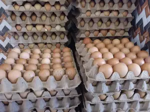 Large Eggs