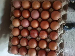 Poultry Eggs