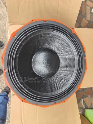 18" Raw Speaker