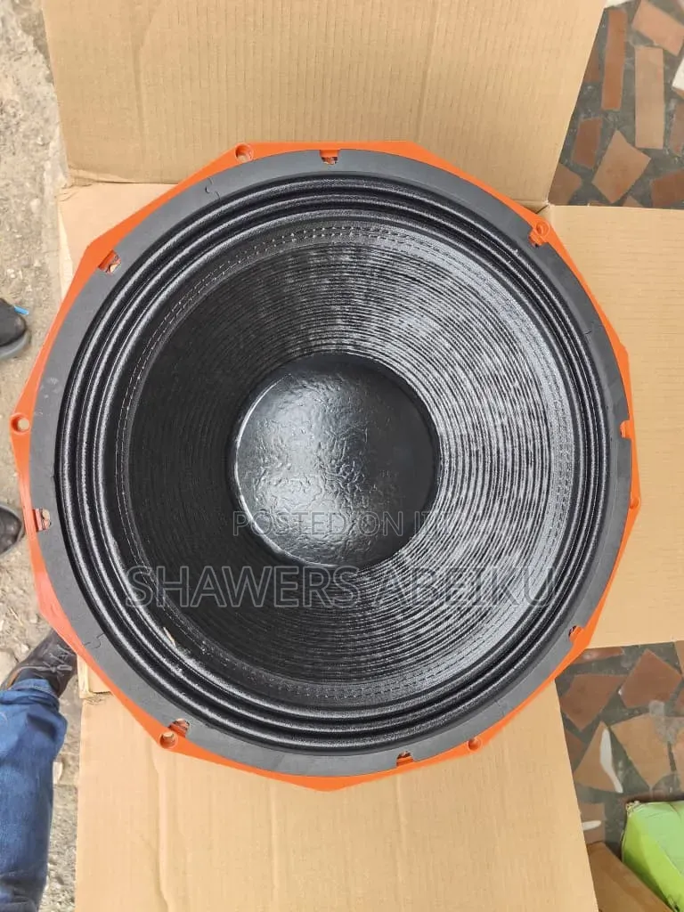 18" Raw Speaker