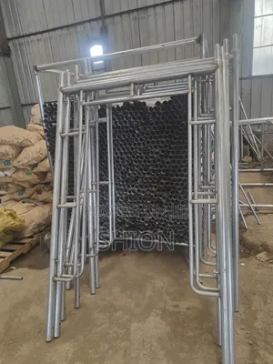 Scaffold/Scaffolding