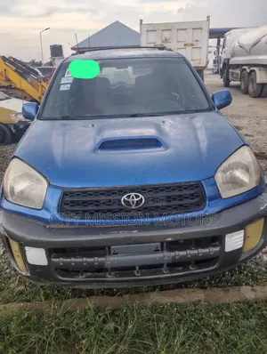 Toyota RAV4 2002 Blue