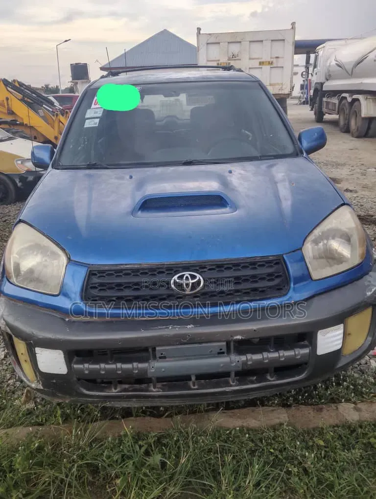 Toyota RAV4 2002 Blue