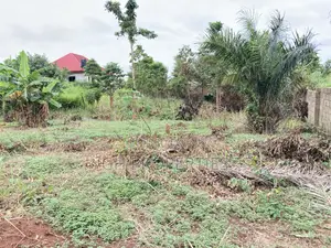 One and Half Plot for Sale at Sokoban,Ampaame Hills