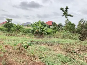 One and Half Plot for Sale at Sokoban,Ampaame Hills