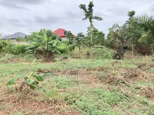 One and Half Plot for Sale at Sokoban,Ampaame Hills