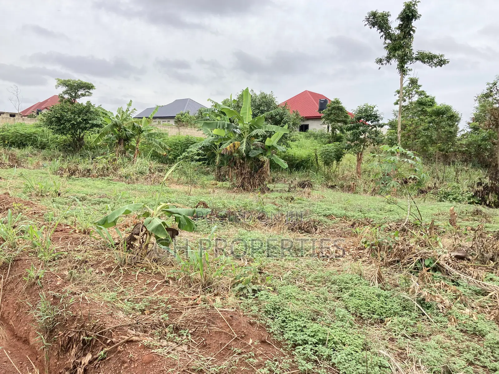 One and Half Plot for Sale at Sokoban,Ampaame Hills
