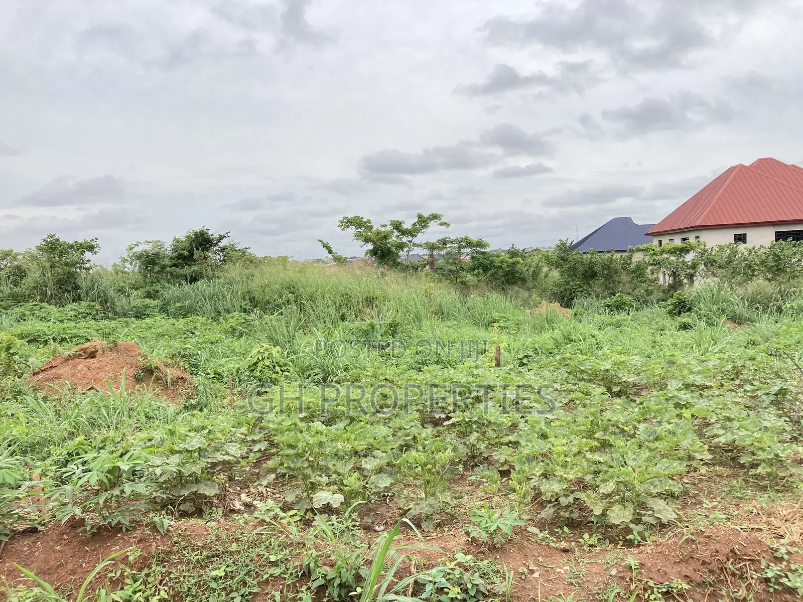 One and Half Plot for Sale at Sokoban,Ampaame Hills