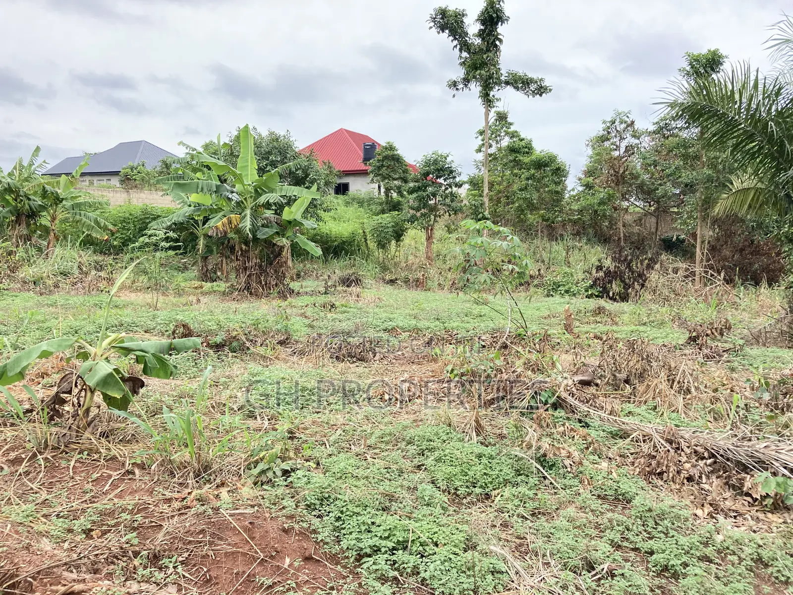 One and Half Plot for Sale at Sokoban,Ampaame Hills