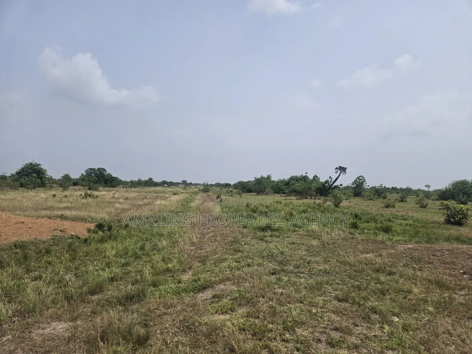 1000 Acres of Land at Dodowa Fiakonya Per Acre Is 800,000ghc