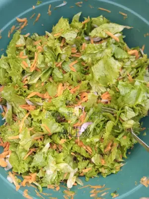 Home Made Delicious Salad