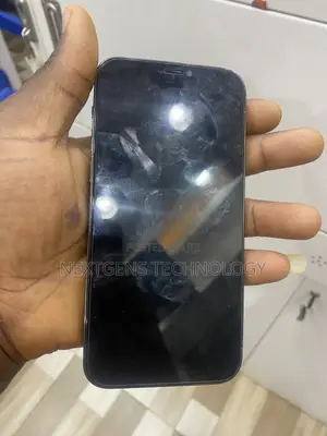 Apple iPhone 12 Pro 256 GB Gray