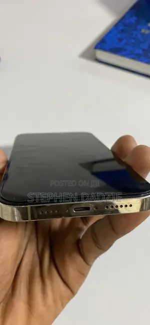 Apple iPhone 14 Pro Max 256 GB Gray
