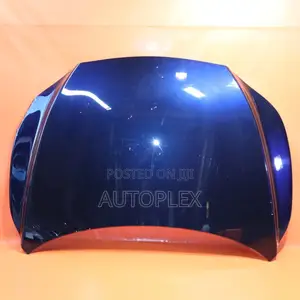 Bonnets (Hood) for Lexus Rx 350 2020,2024,2025