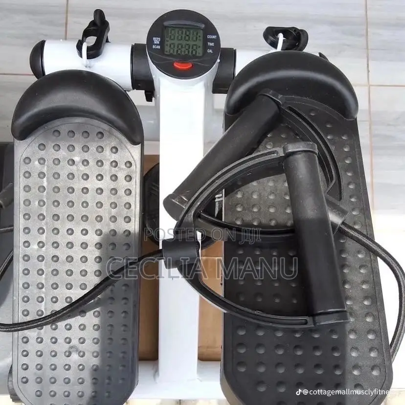Mini Stepper