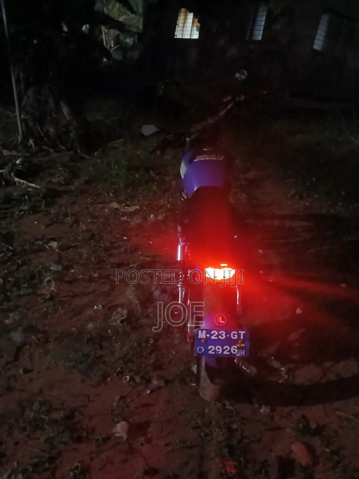 Suzuki 2010 Purple