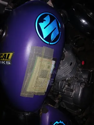 Suzuki 2010 Purple