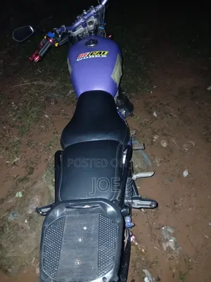 Suzuki 2010 Purple