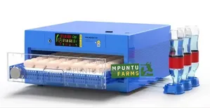 70 Eggs Capacity Dual Power Automatic Incubator