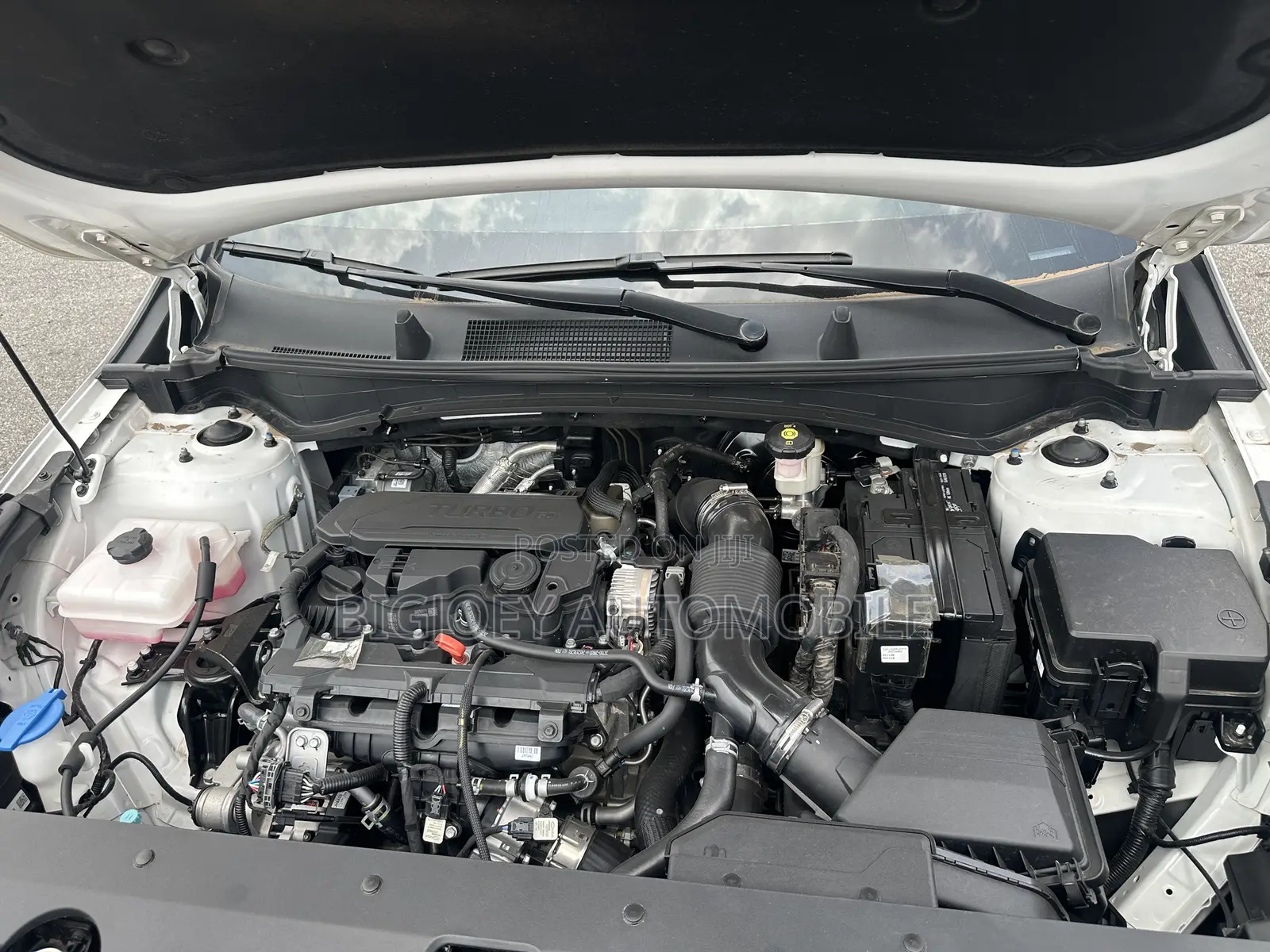 New Kia Sportage 2025 White