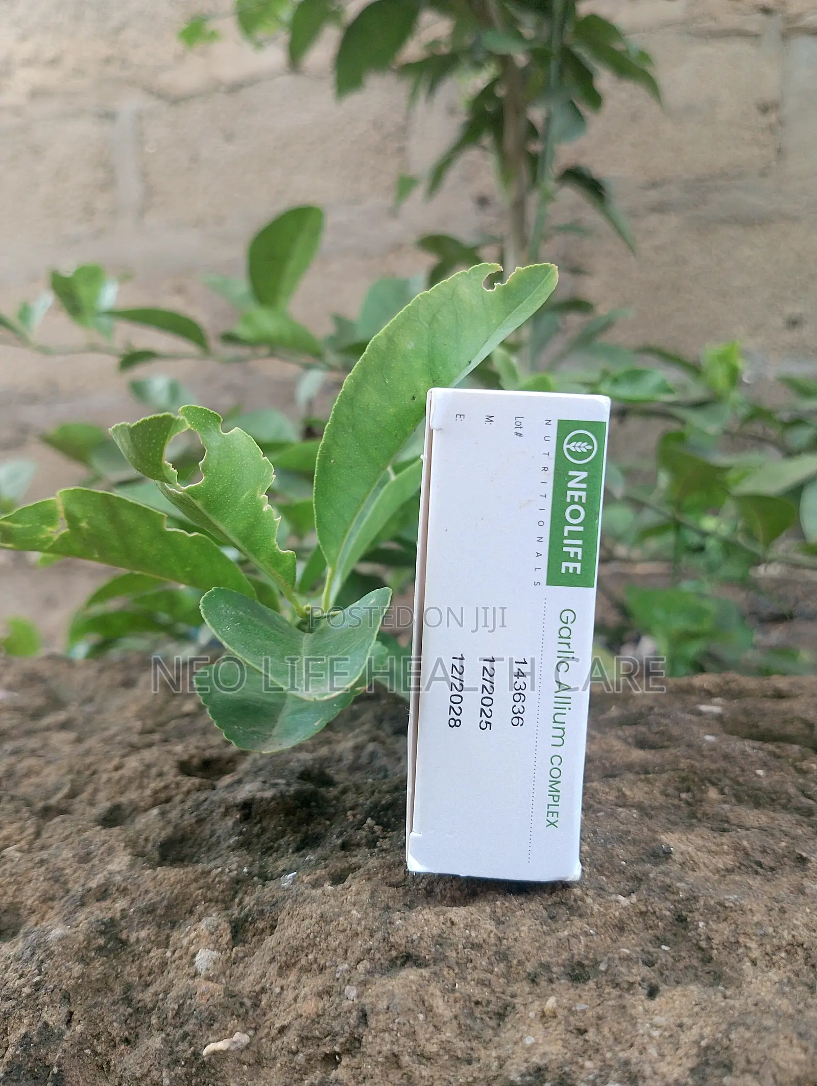 Garlic Allium Complex – For Heart Health