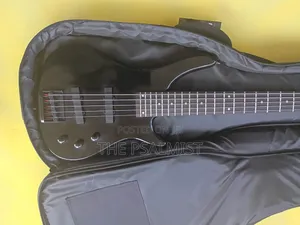Schecter 5strings Bass Guitar